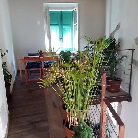 فندق مبيت وإفطار Yhouse 33 ترينتو