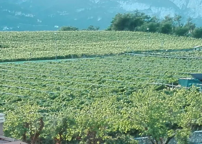 Yhouse 33 3* 特伦托